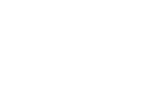 ICON - Avionté News