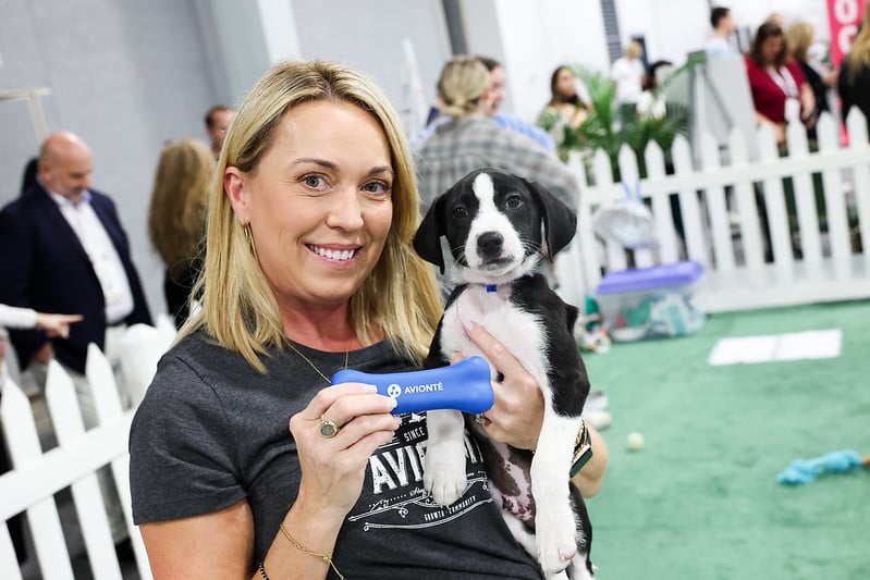 Q424 Staffing World Pawvana Brenda puppy